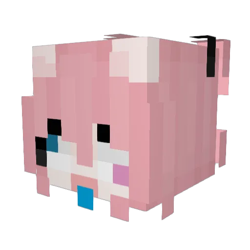 Jokioo_ Minecraft avatar head, 3D render
