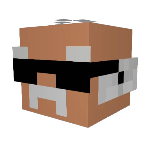 Jokkeontop Minecraft avatar head, 3D render