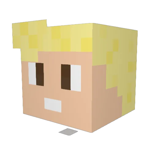 Jokker_ Minecraft avatar head, 3D render