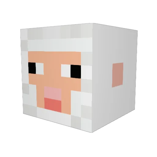 Joktaa Minecraft avatar head, 3D render