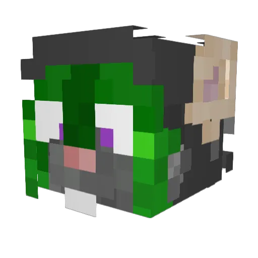 Jokujani Minecraft avatar head, 3D render