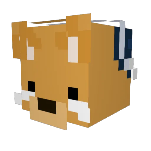Jolain Minecraft avatar head, 3D render