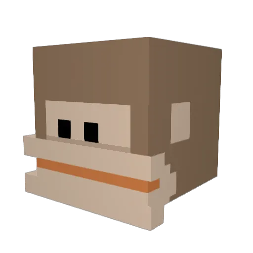 Joleeeeee Minecraft avatar head, 3D render