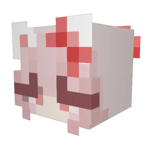 Joli1e Minecraft avatar head, 3D render