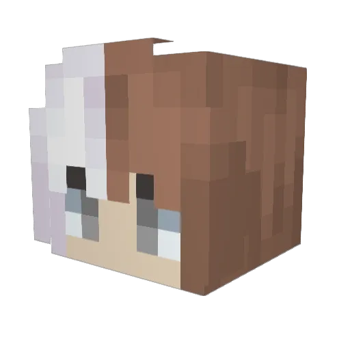 JolieNice Minecraft avatar head, 3D render