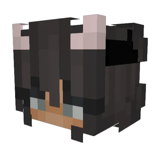 Joliebear14 Minecraft avatar head, 3D render