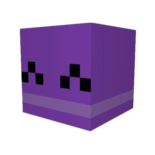 Joliz14 Minecraft avatar head, 3D render