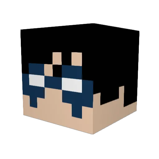 Jollan3 Minecraft avatar head, 3D render