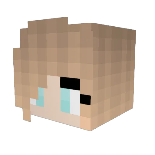 Jolly2507 Minecraft avatar head, 3D render