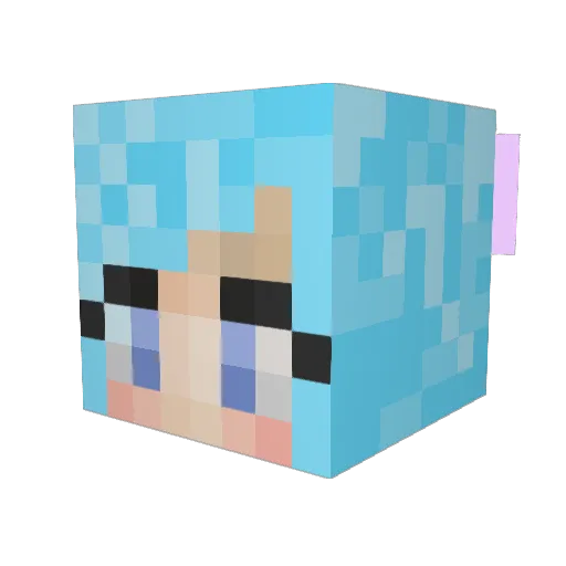 Jolly500 Minecraft avatar head, 3D render