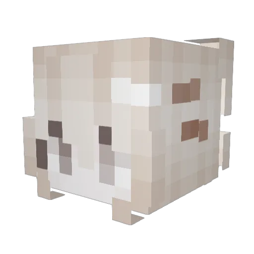 JollyAni Minecraft avatar head, 3D render