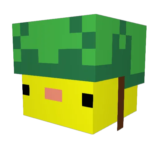 JollyCalicoJack Minecraft avatar head, 3D render
