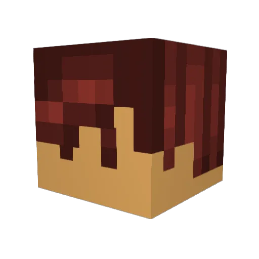 JollyCrab Minecraft avatar head, 3D render