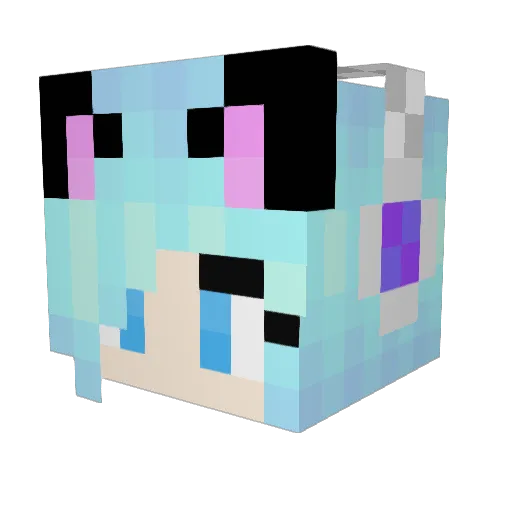 JollyEvergreen Minecraft avatar head, 3D render