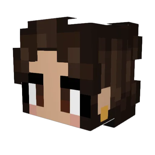 JollyPanda375 Minecraft avatar head, 3D render