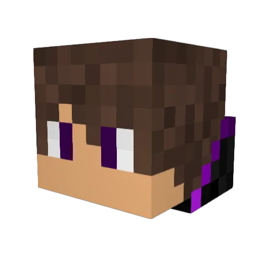 JollyRevenant Minecraft avatar head, 3D render