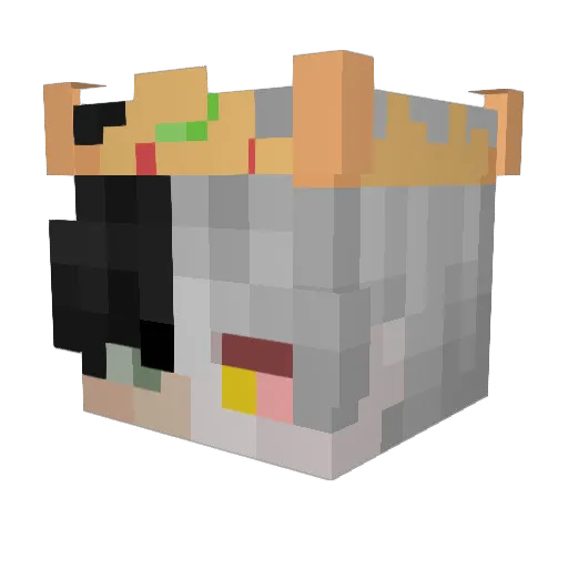 JollyTapioca Minecraft avatar head, 3D render