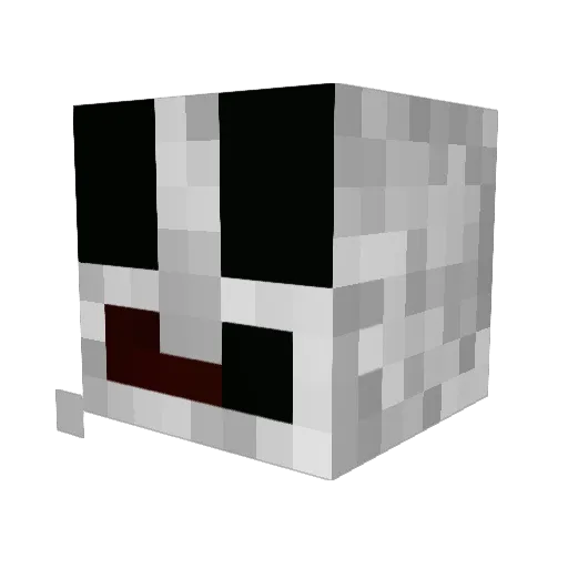 Jollygood156 Minecraft avatar head, 3D render