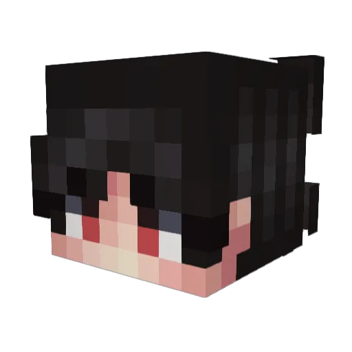 Jollyjayden1000 Minecraft avatar head, 3D render