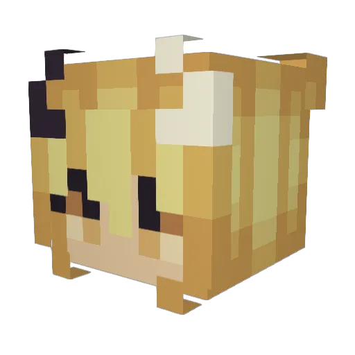 Jollyolroger_ Minecraft avatar head, 3D render
