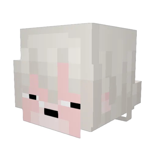 Jolska12 Minecraft avatar head, 3D render