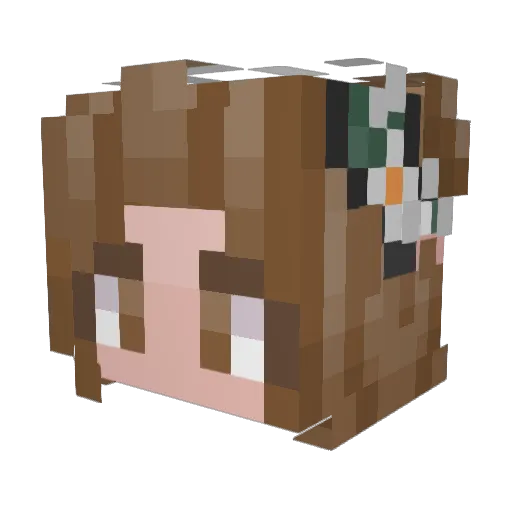Jomine_ Minecraft avatar head, 3D render