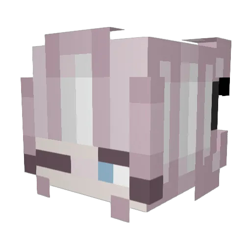 JomoLikesCats Minecraft avatar head, 3D render