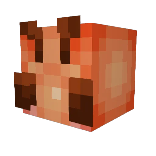 Jomokomori Minecraft avatar head, 3D render