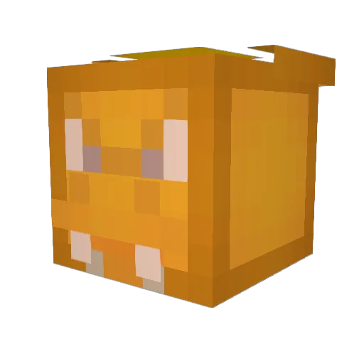 Jon8191 Minecraft avatar head, 3D render