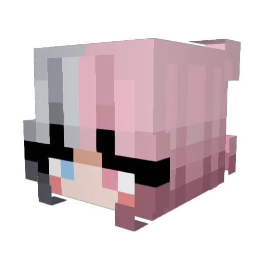 JonBoiBroo Minecraft avatar head, 3D render