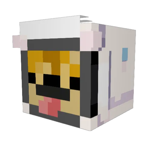 JonJonJoestar Minecraft avatar head, 3D render