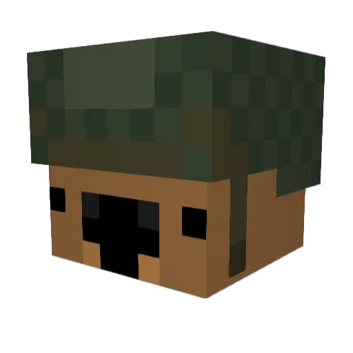 JonWombat Minecraft avatar head, 3D render