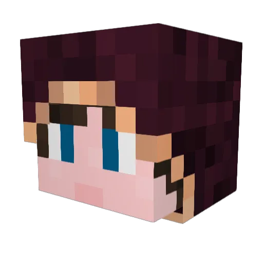 Jona1705 Minecraft avatar head, 3D render