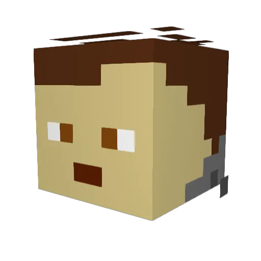 Jona392012 Minecraft avatar head, 3D render