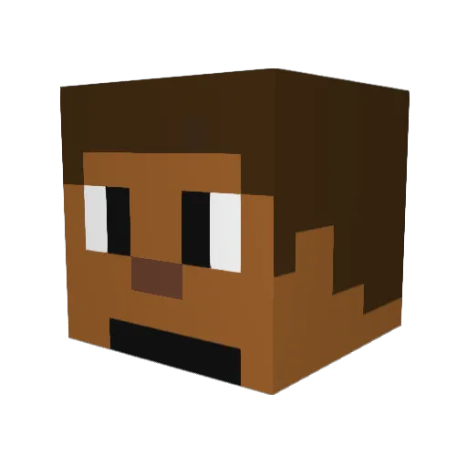 Jona_2008_ Minecraft avatar head, 3D render