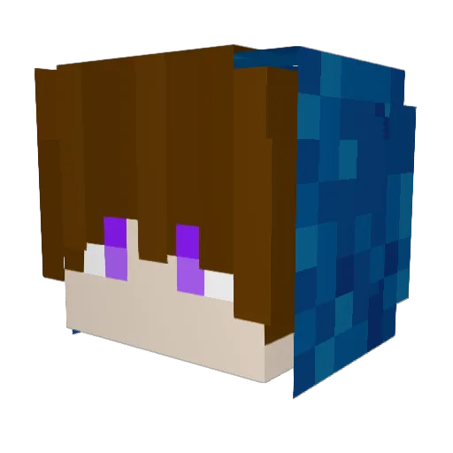 Jonafin_ Minecraft avatar head, 3D render