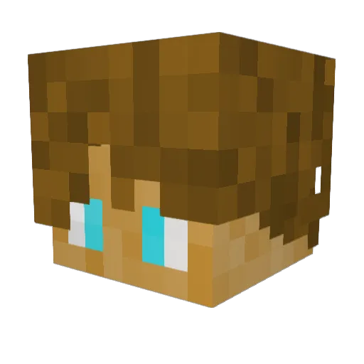 Jonas0612 Minecraft avatar head, 3D render