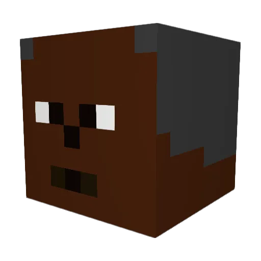Jonas11xyz Minecraft avatar head, 3D render