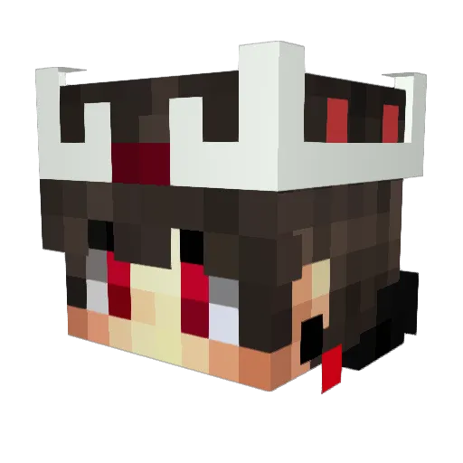 Jonas143 Minecraft avatar head, 3D render