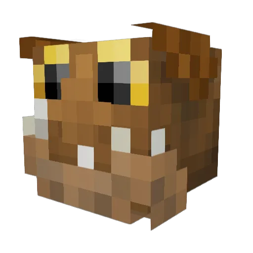 Jonas2352 Minecraft avatar head, 3D render