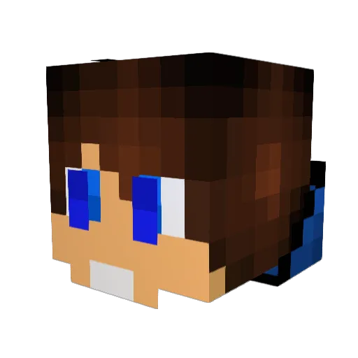 Jonas290 Minecraft avatar head, 3D render