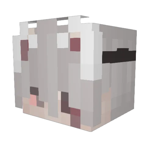 Jonas483 Minecraft avatar head, 3D render