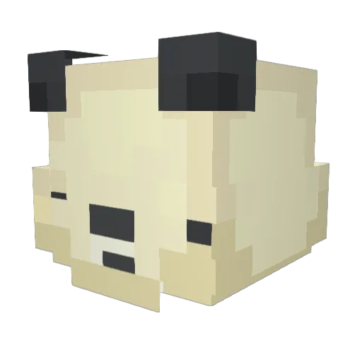 JonasBAN Minecraft avatar head, 3D render