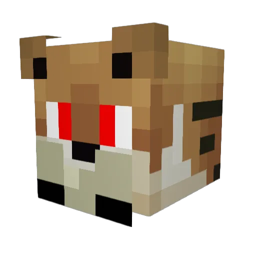 JonasBMX15 Minecraft avatar head, 3D render