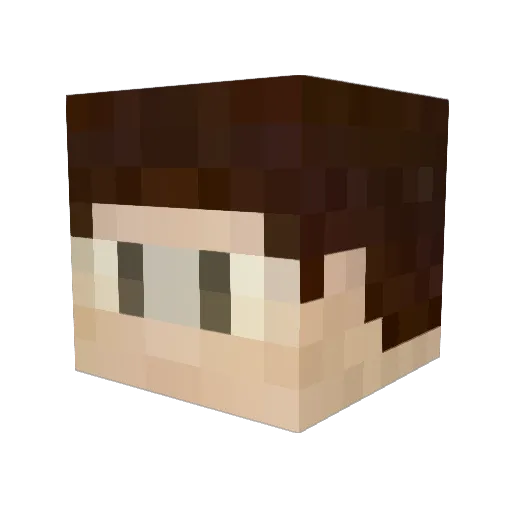 JonasH22 Minecraft avatar head, 3D render