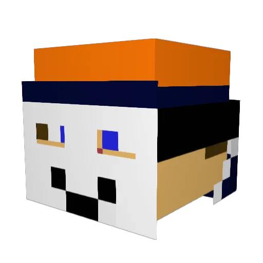 JonasSloth Minecraft avatar head, 3D render
