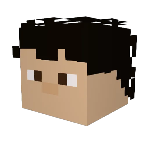 JonasTheHutt Minecraft avatar head, 3D render