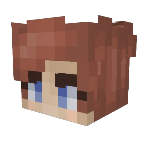 Jonas_300 Minecraft avatar head, 3D render