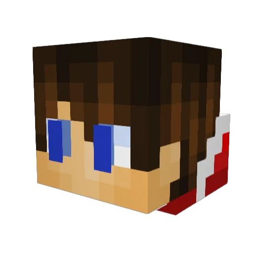 Jonas_912 Minecraft avatar head, 3D render