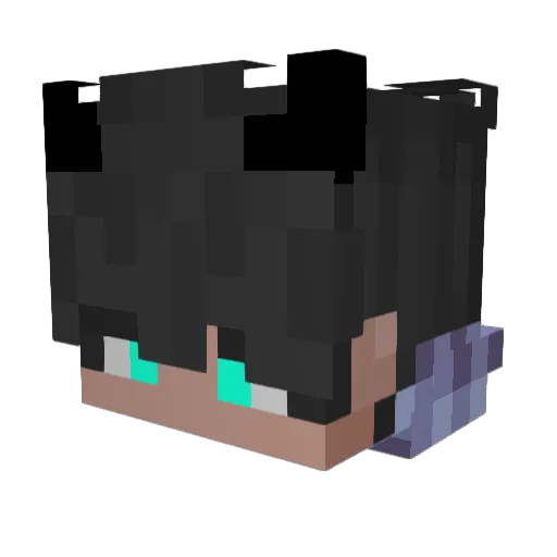 Jonas_Alb_77 Minecraft avatar head, 3D render